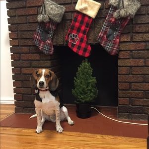 Meet your Posher, Kaylene